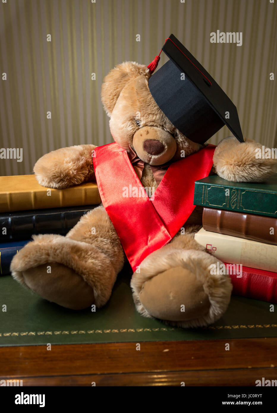 Closeup photo of brown teddy bear wearing graduation cap leaning on books Stock Photo