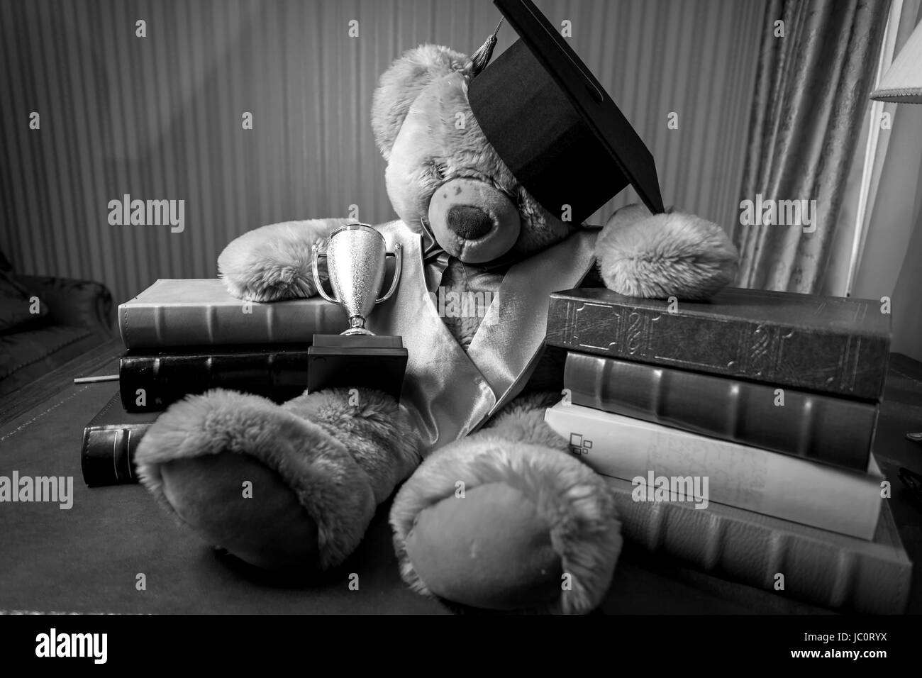 Black and white photo of teddy bear in graduation hat sitting on table Stock Photo