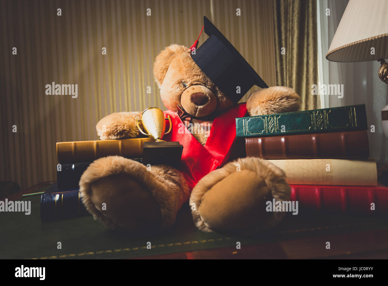 Toned photo of teddy bear in graduation cap sitting at library Stock Photo