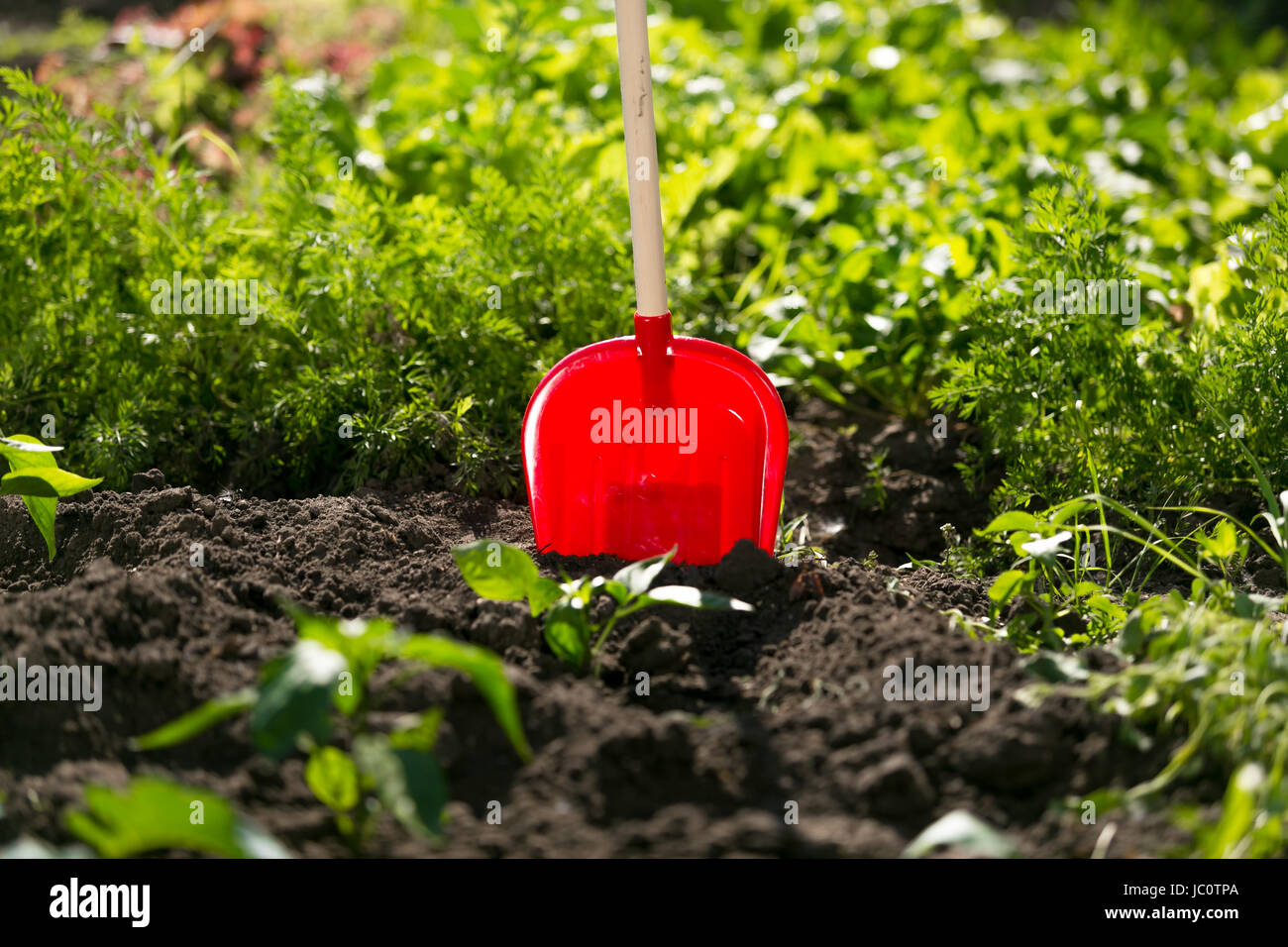 Spade stuck in the ground hi-res stock photography and images - Alamy