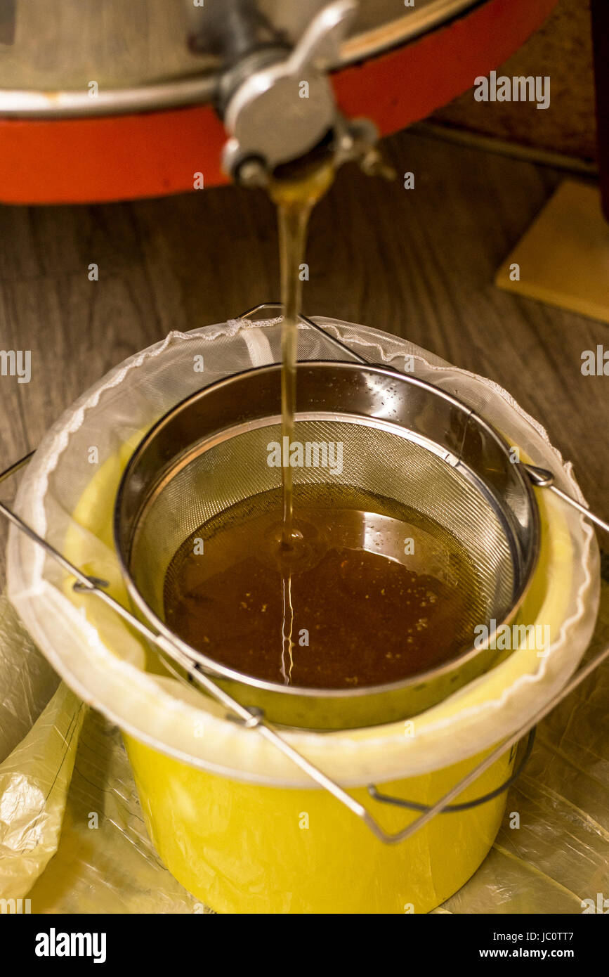 Honey Bucket Stock Photos & Honey Bucket Stock Images Alamy