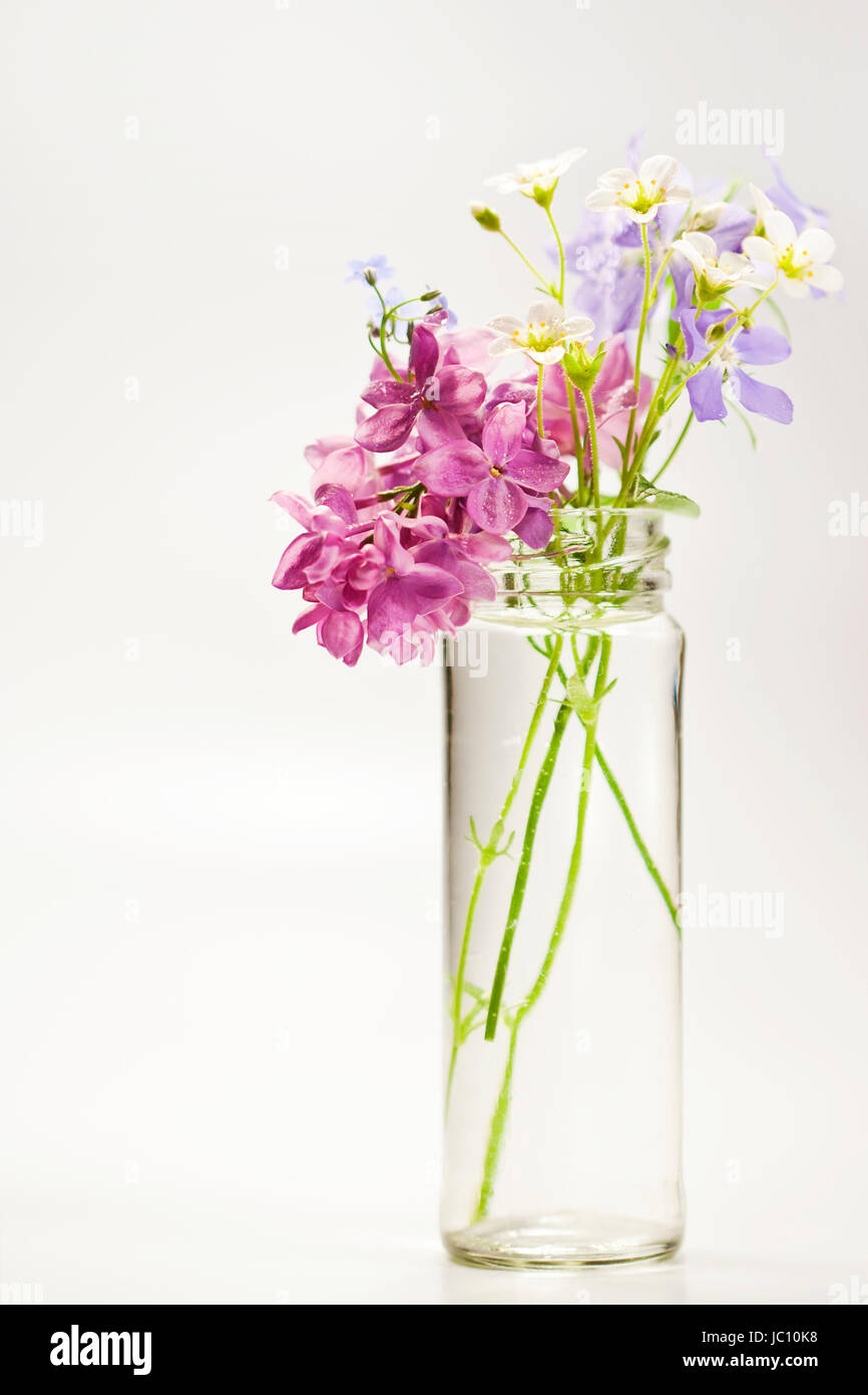 Beautiful spring flowers in a vase on white background Stock Photo - Alamy
