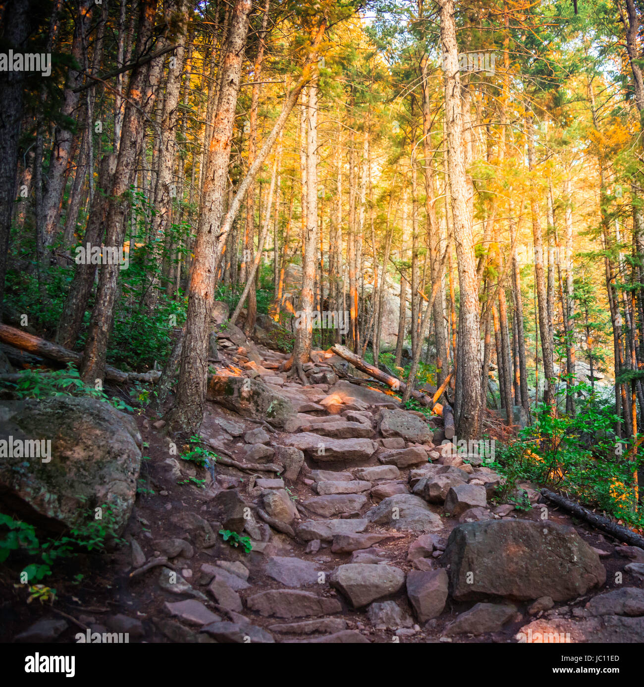 shutterstock,pond5,istock Stock Photo Alamy