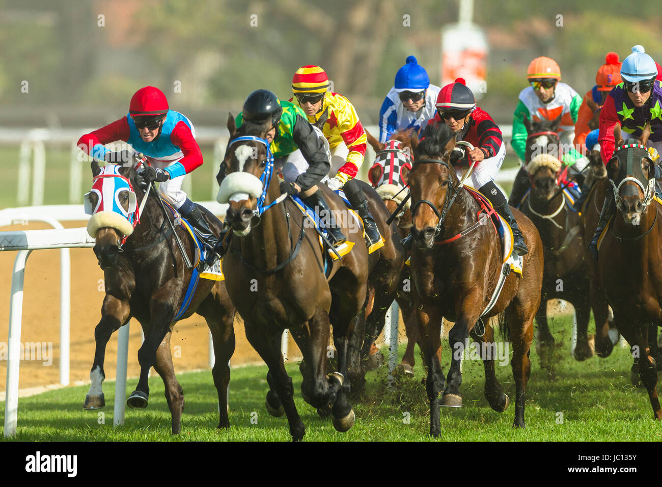 18++ Live horse racing results greyville best tips 