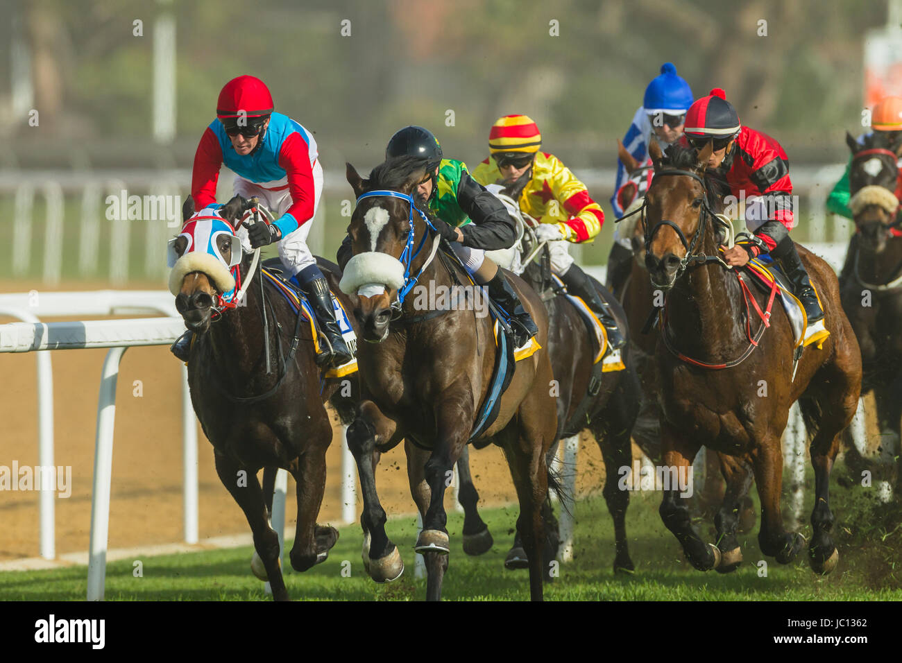 Greyville High Resolution Stock Photography And Images Alamy