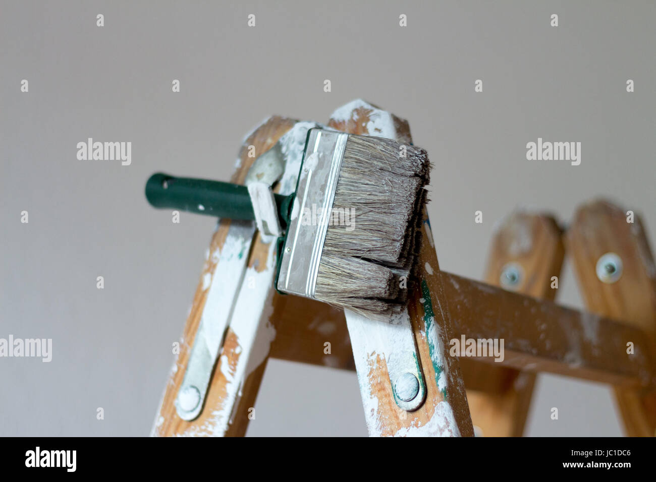 paint roller on ladder Stock Photo Alamy