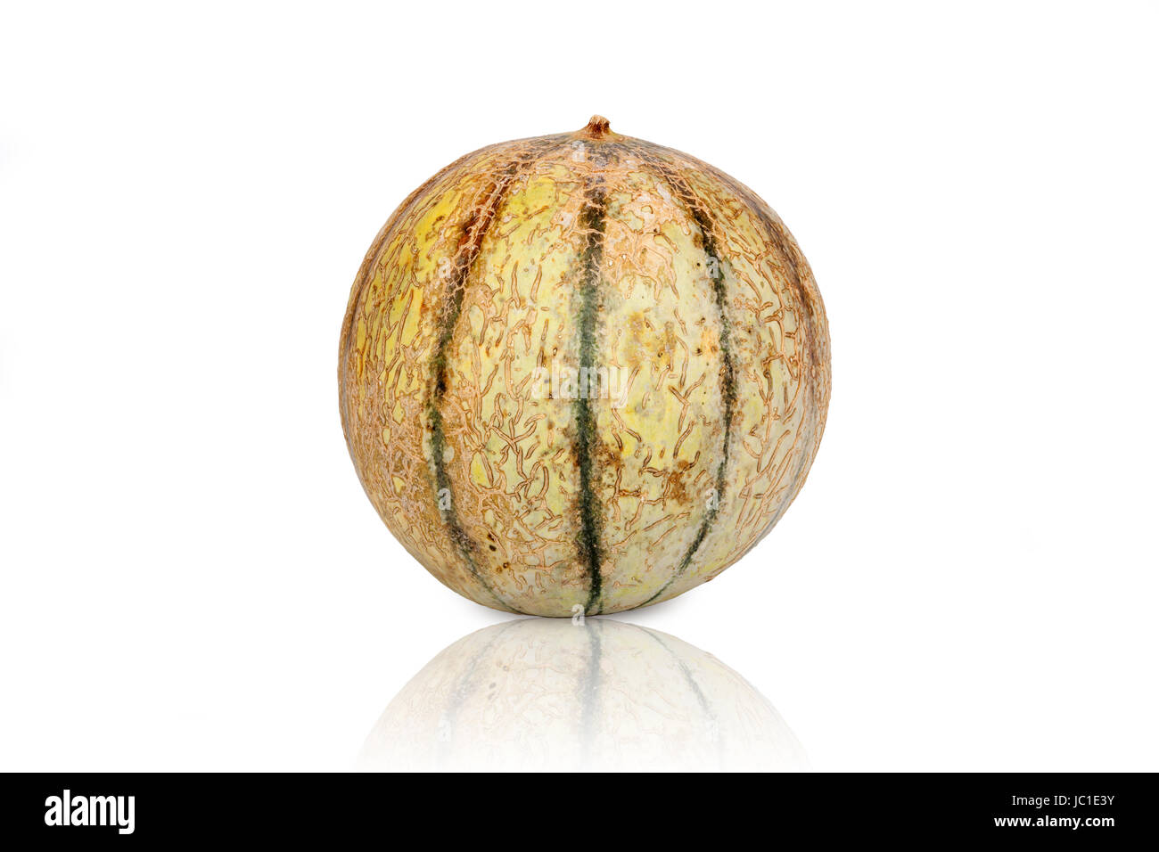 Galia Charentais Melone isoliert und gespiegelt vor weißem Hintergrund Stock Photo