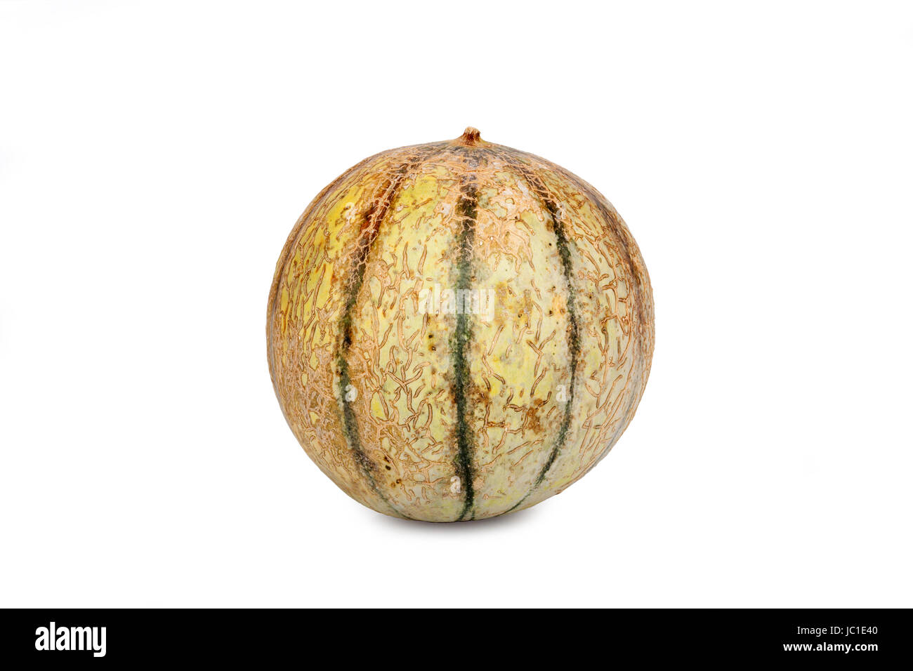 Galia Charentais Melone isoliert vor weißem Hintergrund Stock Photo