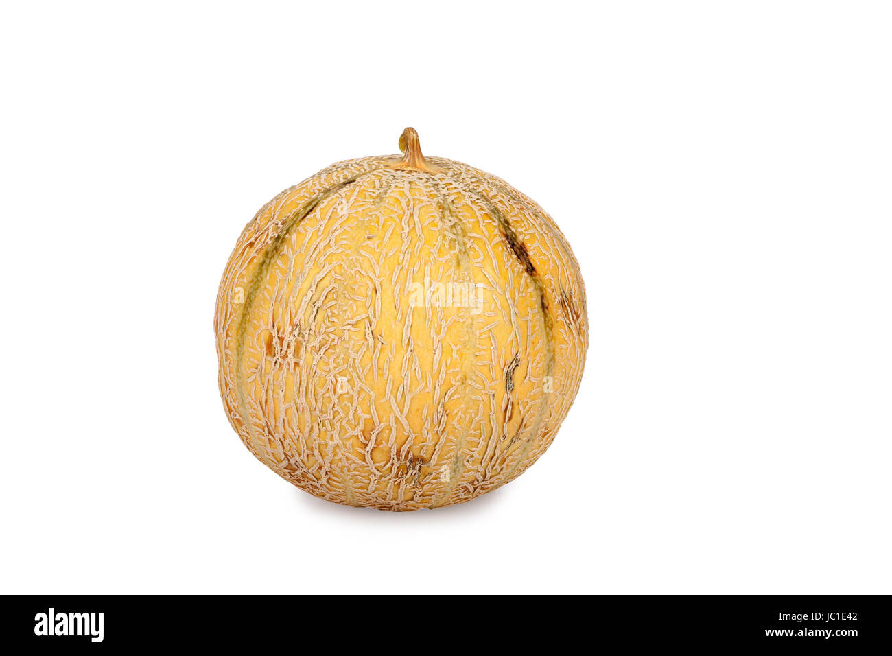 Galia Cantaloupe Melone isoliert vor weißem Hintergrund Stock Photo