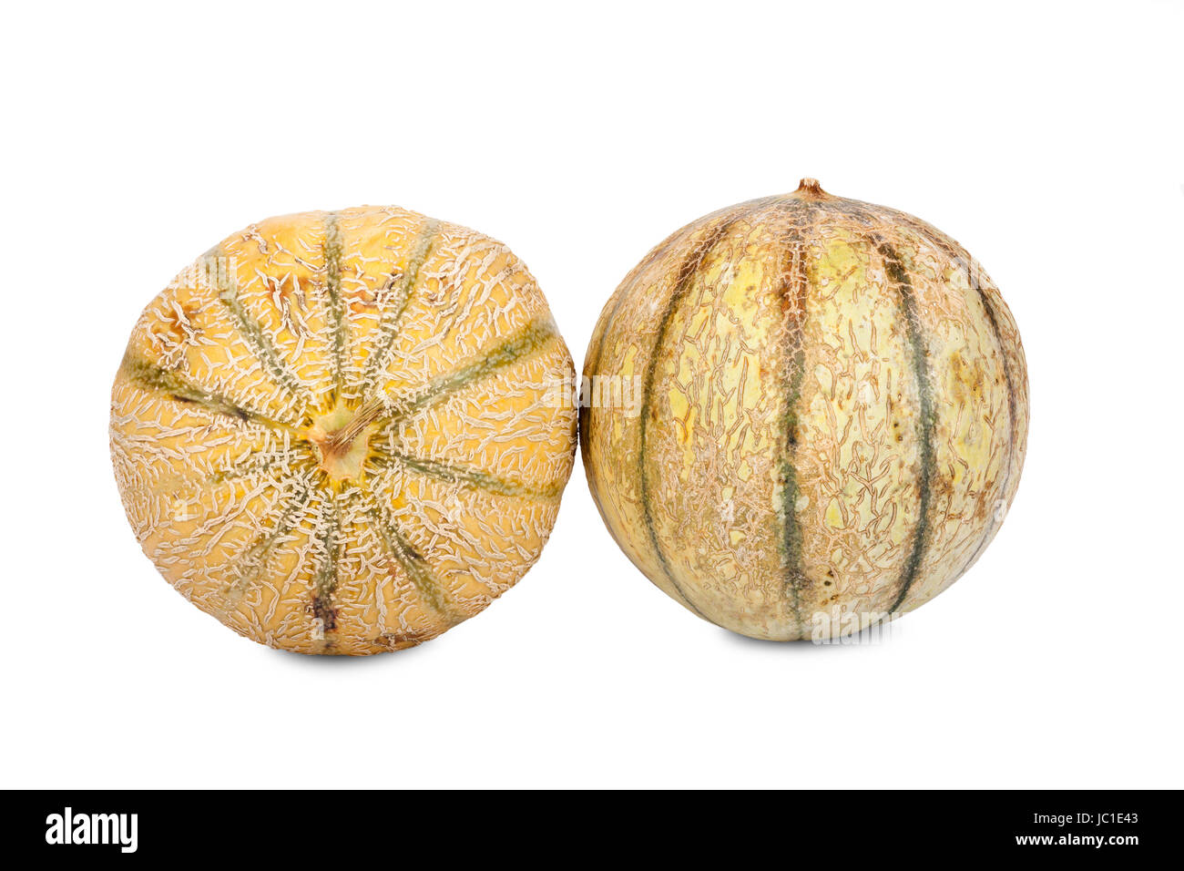 Zwei Galia Charentais Melonen isoliert vor weißem Hintergrund Stock Photo