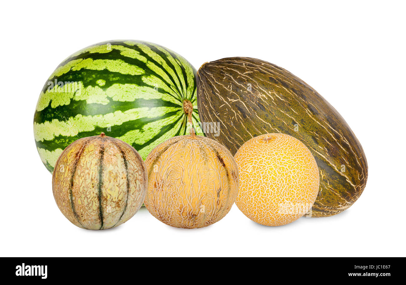 Fünf verschiedene Melonensorten isoliert vor weißem Hintergrund Stock Photo