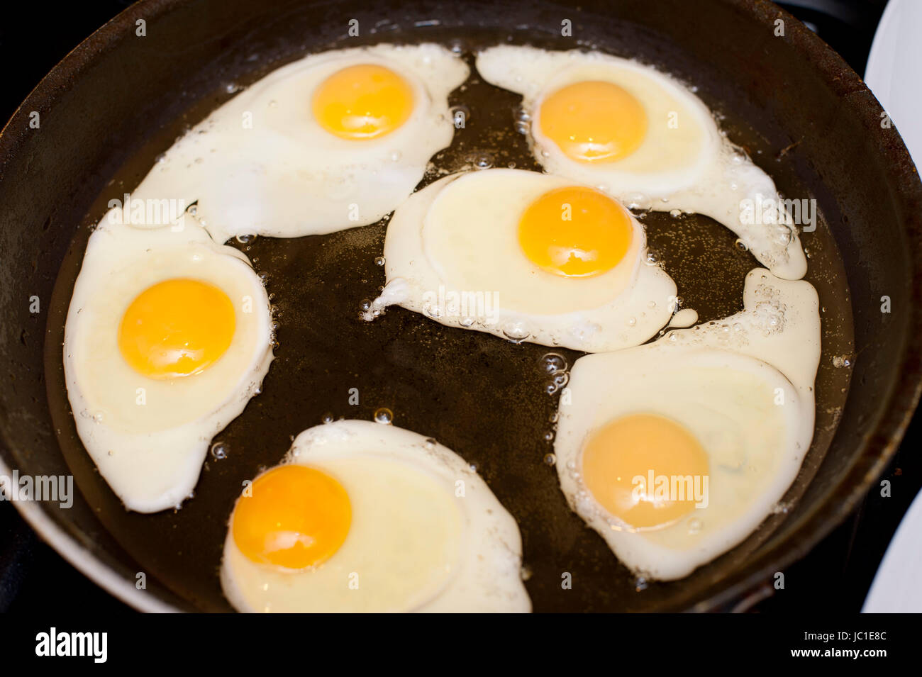 Highangle closeup of six fried eggs, nutritious source of proteins