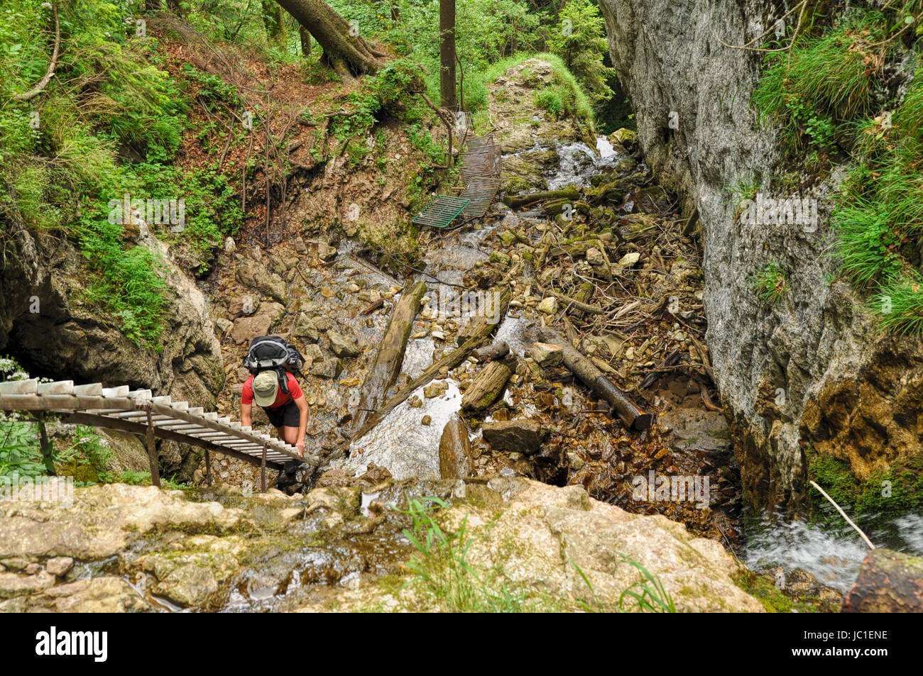 Bottom-down view of a hiker climbing a wooden ladder in Slovak Paradise National Park Stock Photo