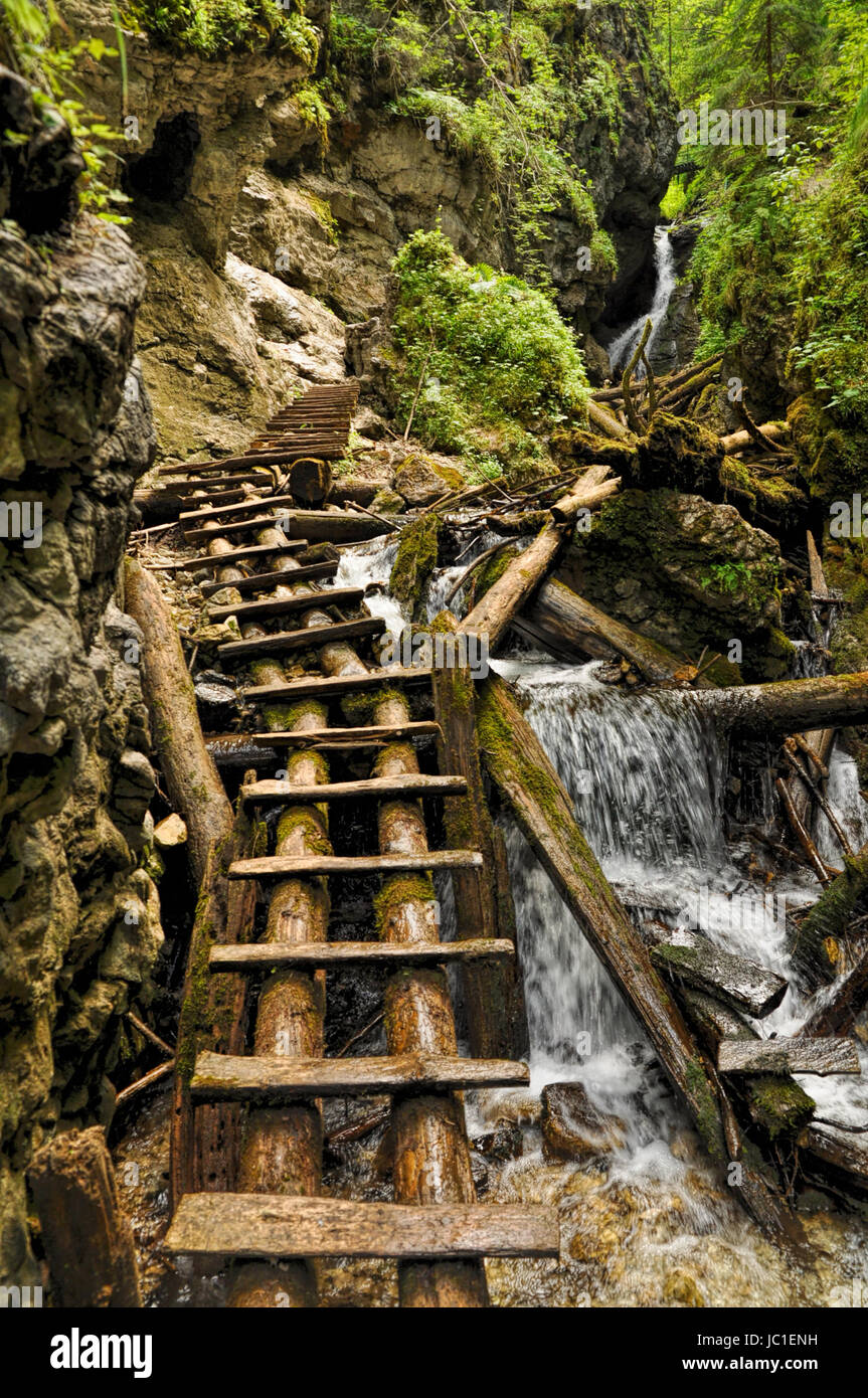 Close-up view of a trail made of wooden ladders with a waterfall nearby, Slovak Paradise National Park Stock Photo