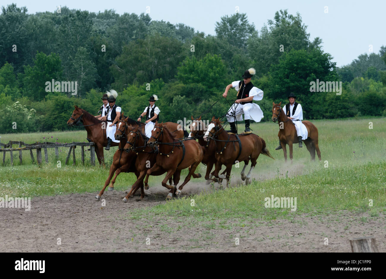 Horse show on Bugac Puszta,in Kiskunsag National Park. Hungary Stock ...