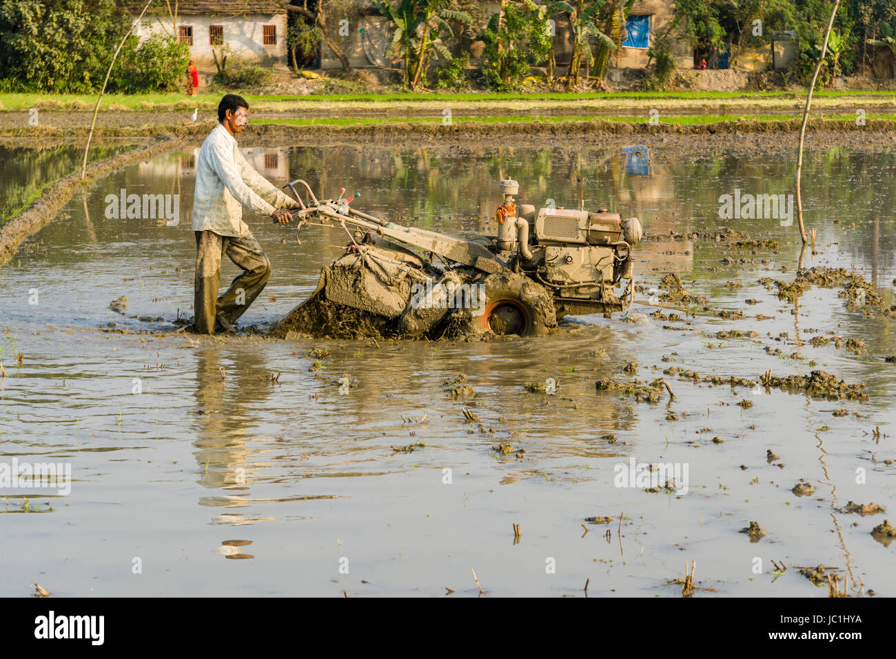 A farmer is working on a rice field with a rotary cultivator in the rural surroundings of the suburb New Town Stock Photo