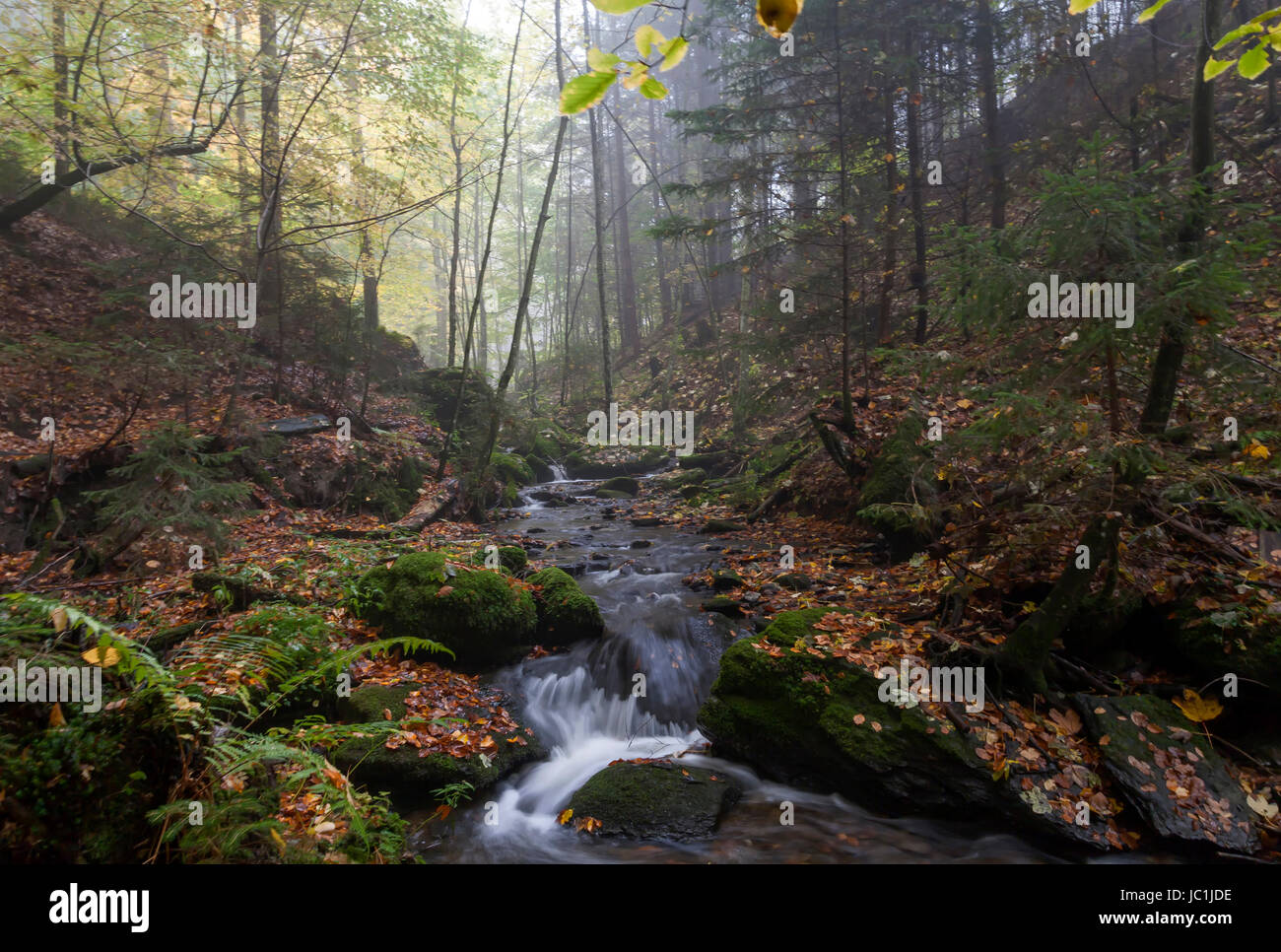 stream autumn colours Stock Photo