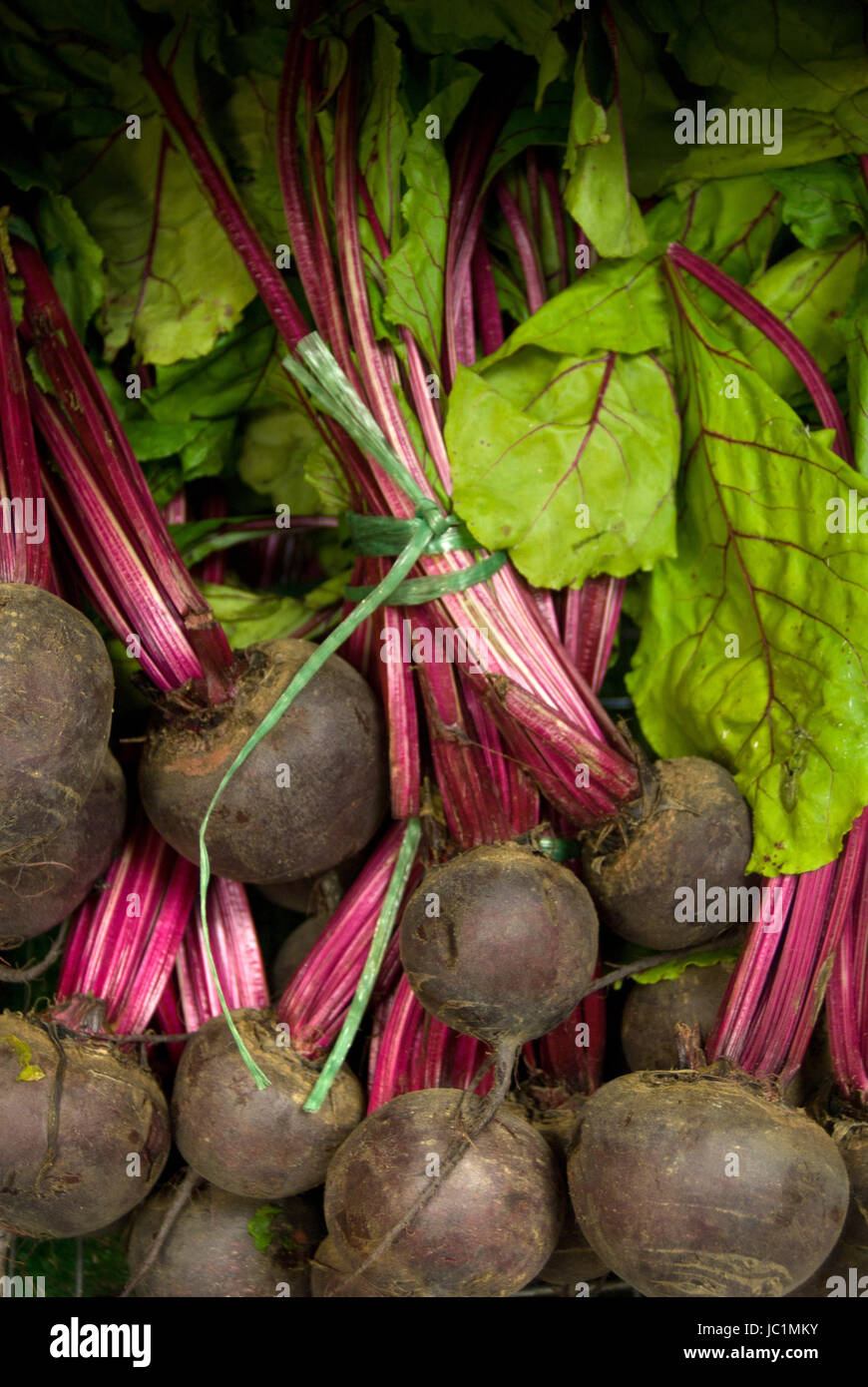 Bunch of beetroot hi-res stock photography and images - Alamy