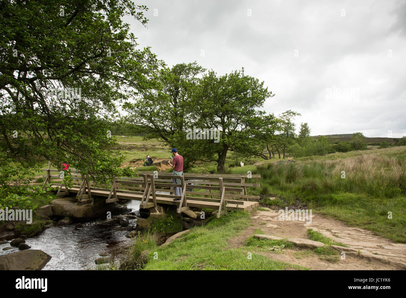 Longshaw Ridge Walks Longshaw estate derbyshire walk hi-res stock photography and images - Alamy