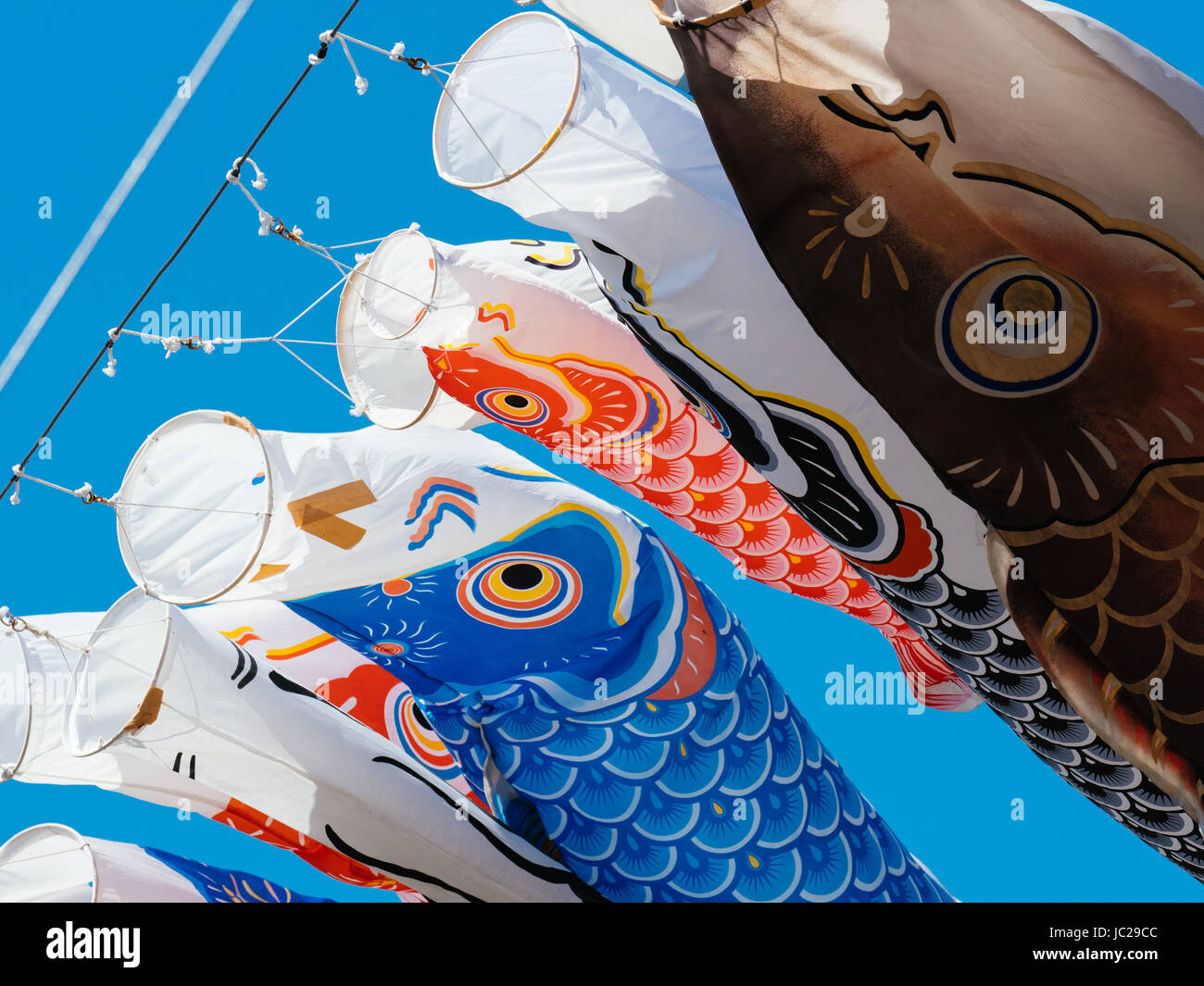 Koinobori Carp Streamer Stock Photo Alamy Koinobori Carp Streamer Stock Photo Alamy