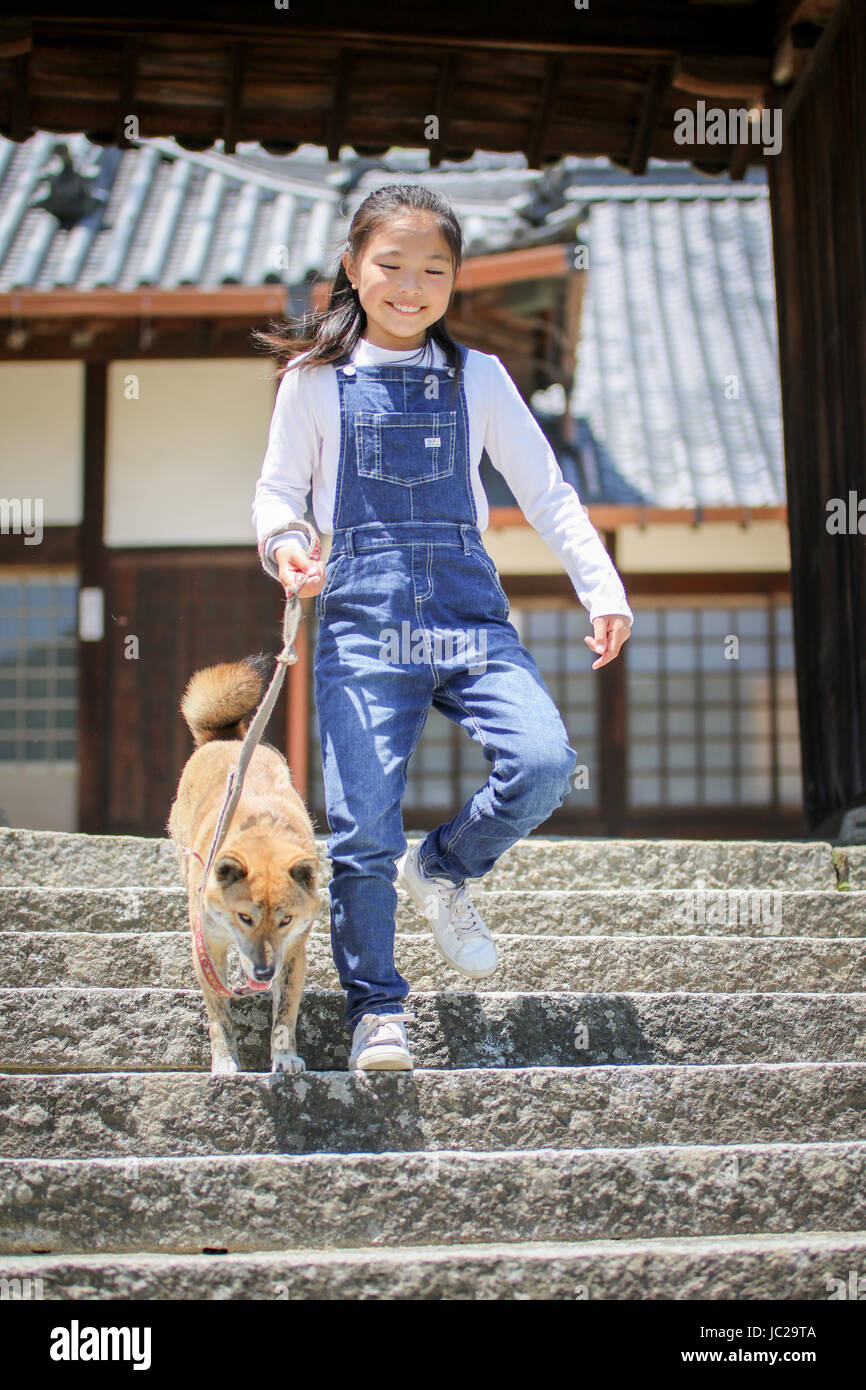 Girl Walking down Stairs at Temple with Shiba Inu Stock Photo