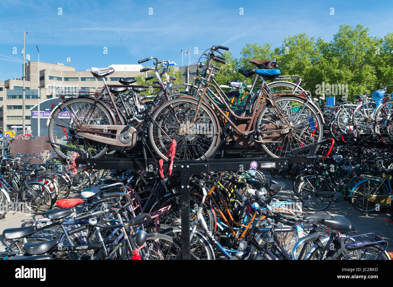 chaotic bicycle parking at the utrecht central station in the netherlands Stock Photo