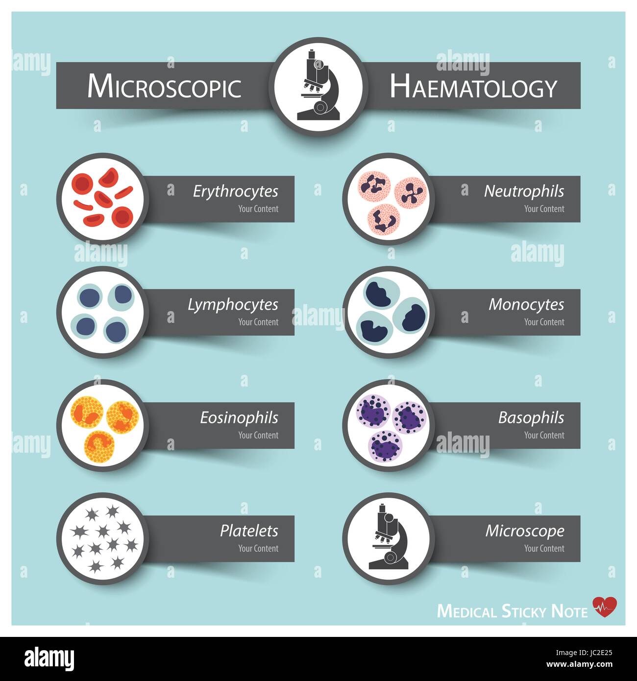 Microscopic Haematology . Medical sticky note style ( Bone marrow produce blood cells series : erythrocytes . lymphocytes . neutrophils . monocytes .  Stock Vector