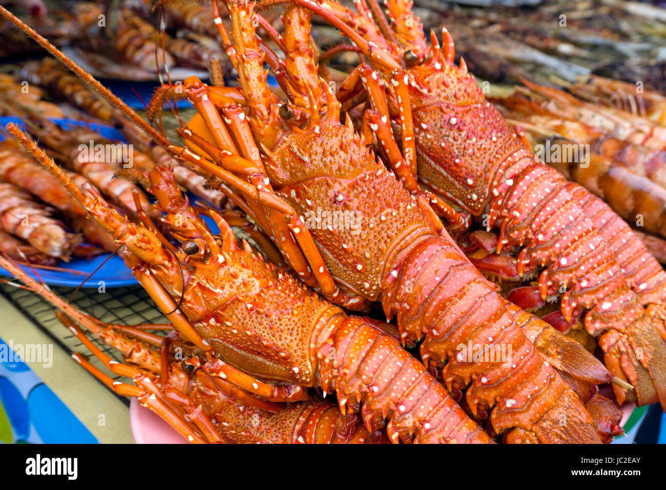 Close up of grilled lobster sold at Asian night market Stock Photo Alamy