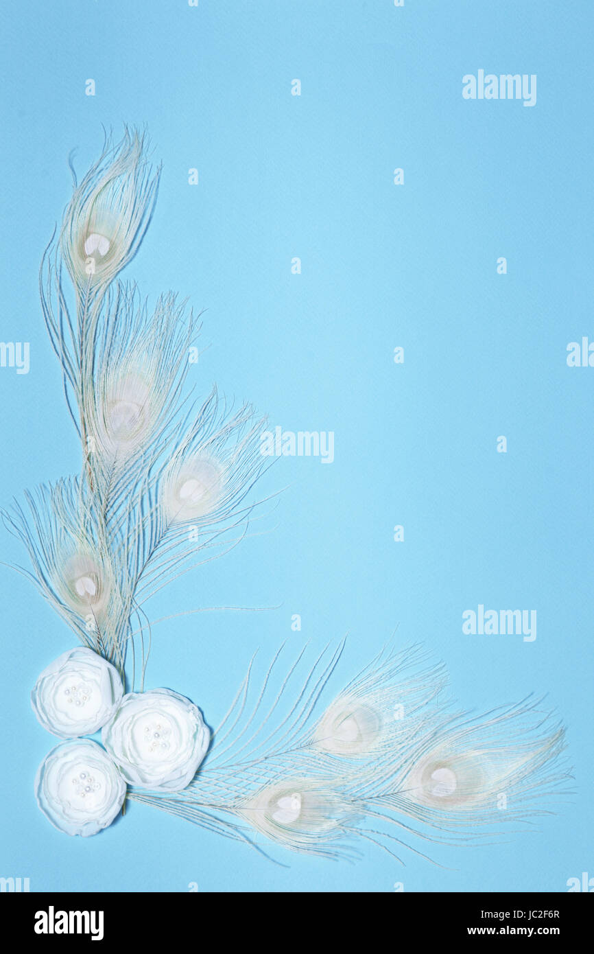 Light Blue Vertical Background With Handmade Gentle White Ranunculus