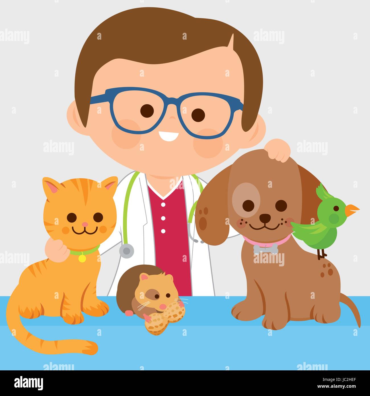 Male veterinarian and pets Stock Vector