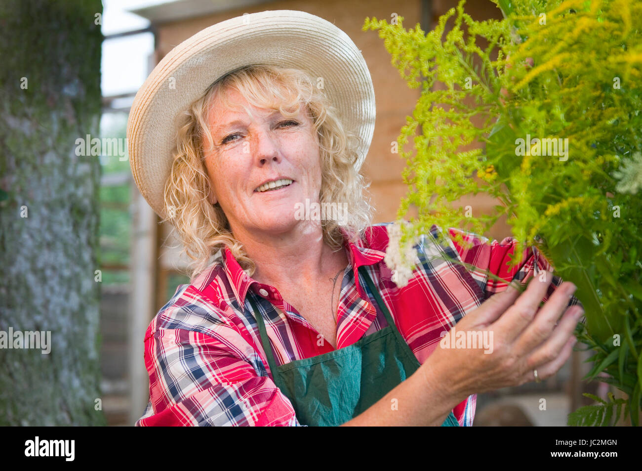 Eine frau gartenarbeit hires stock photography and images Alamy