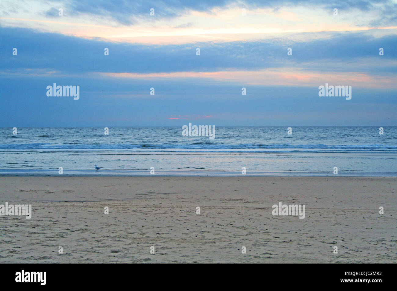 north sea salt water Stock Photo Alamy