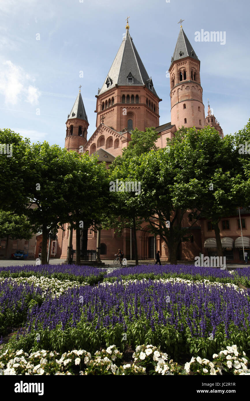 The cathedral in Mainz, Germany . Kaiserdom is a Romanesque imperial cathedral. Stock Photo