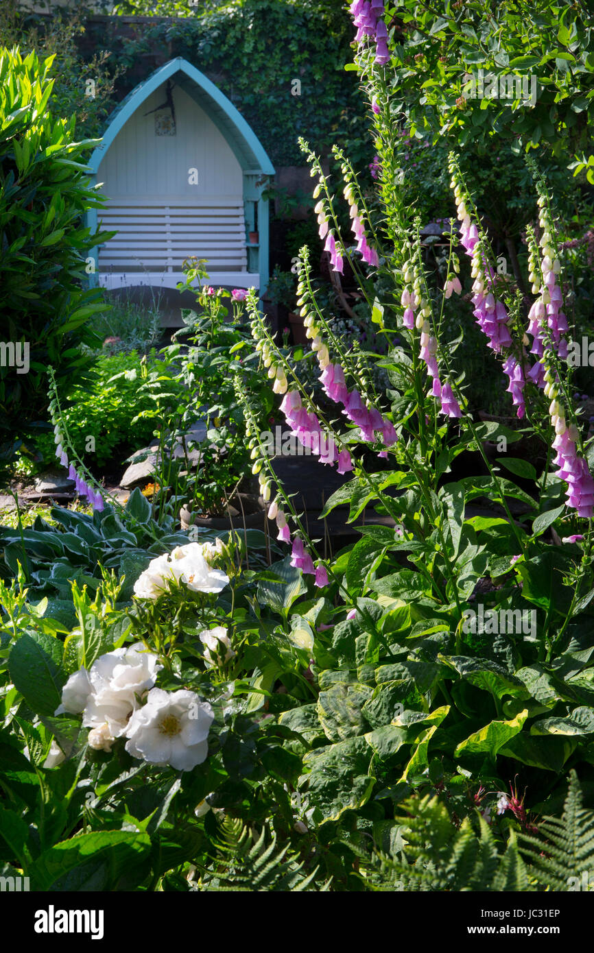 Foxgloves and garden boarder with arbor seating in English garden Stock Photo