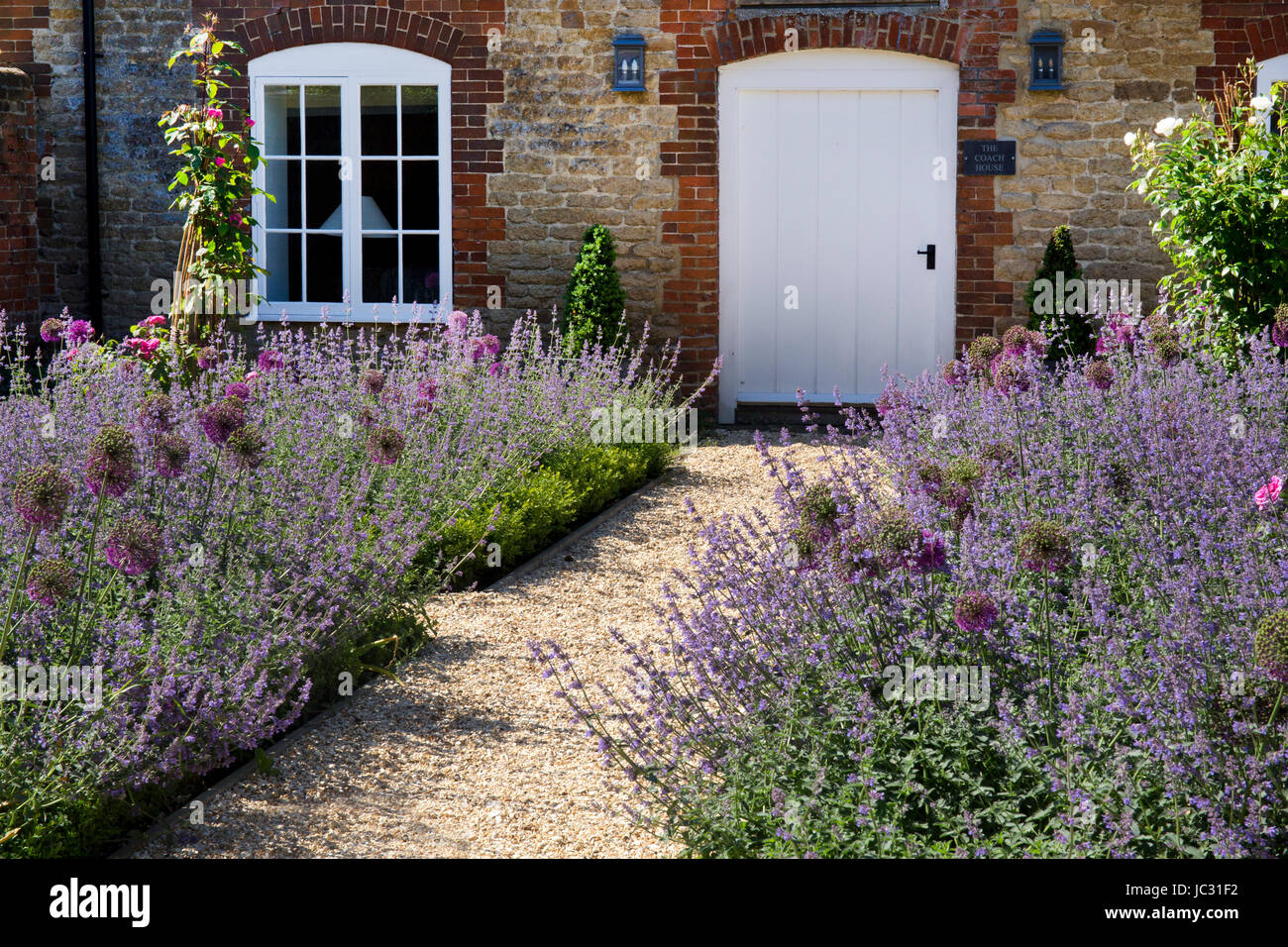 gravel path with summer boarder plants in English garden Stock Photo
