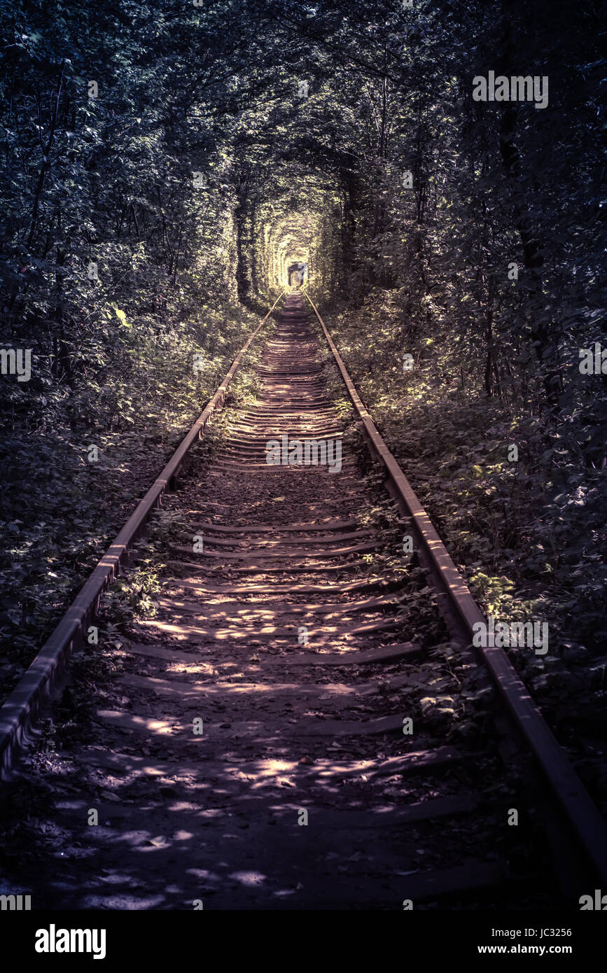 old forest and railway tunel of love Stock Photo