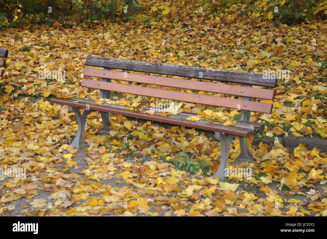 Bank, Herbstwald, wald, herbst, herbstlich, oktober, jahreszeit, sitzplatz, sitzbank, Stock Photo