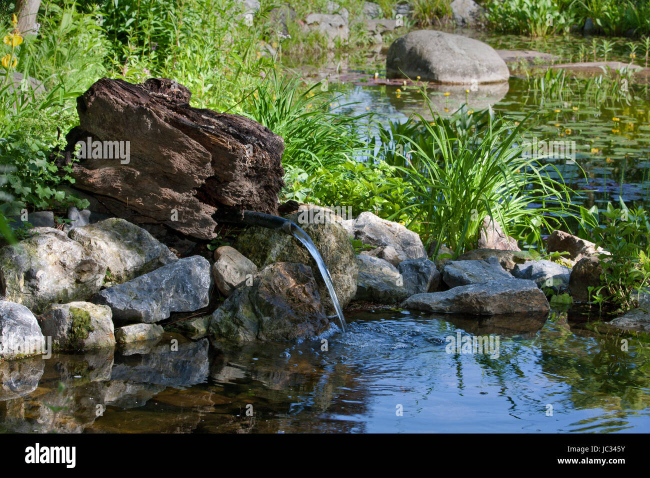 Gartenteich mit frischer Quelle Stock Photo Alamy