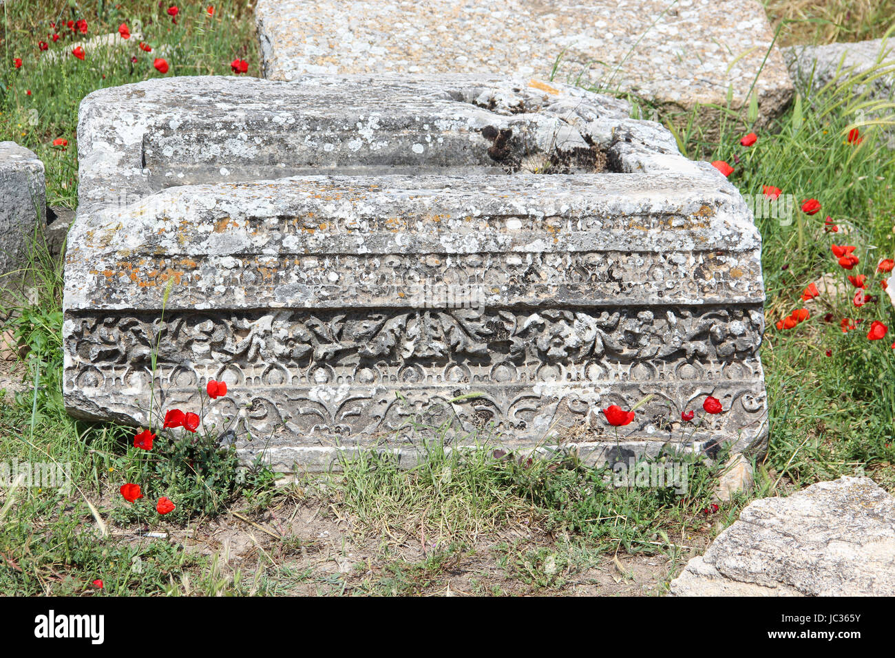 Ruins of the ancient city of Hierapolis spring time, Turkey. Carved stone block. red flowers poppy Stock Photo