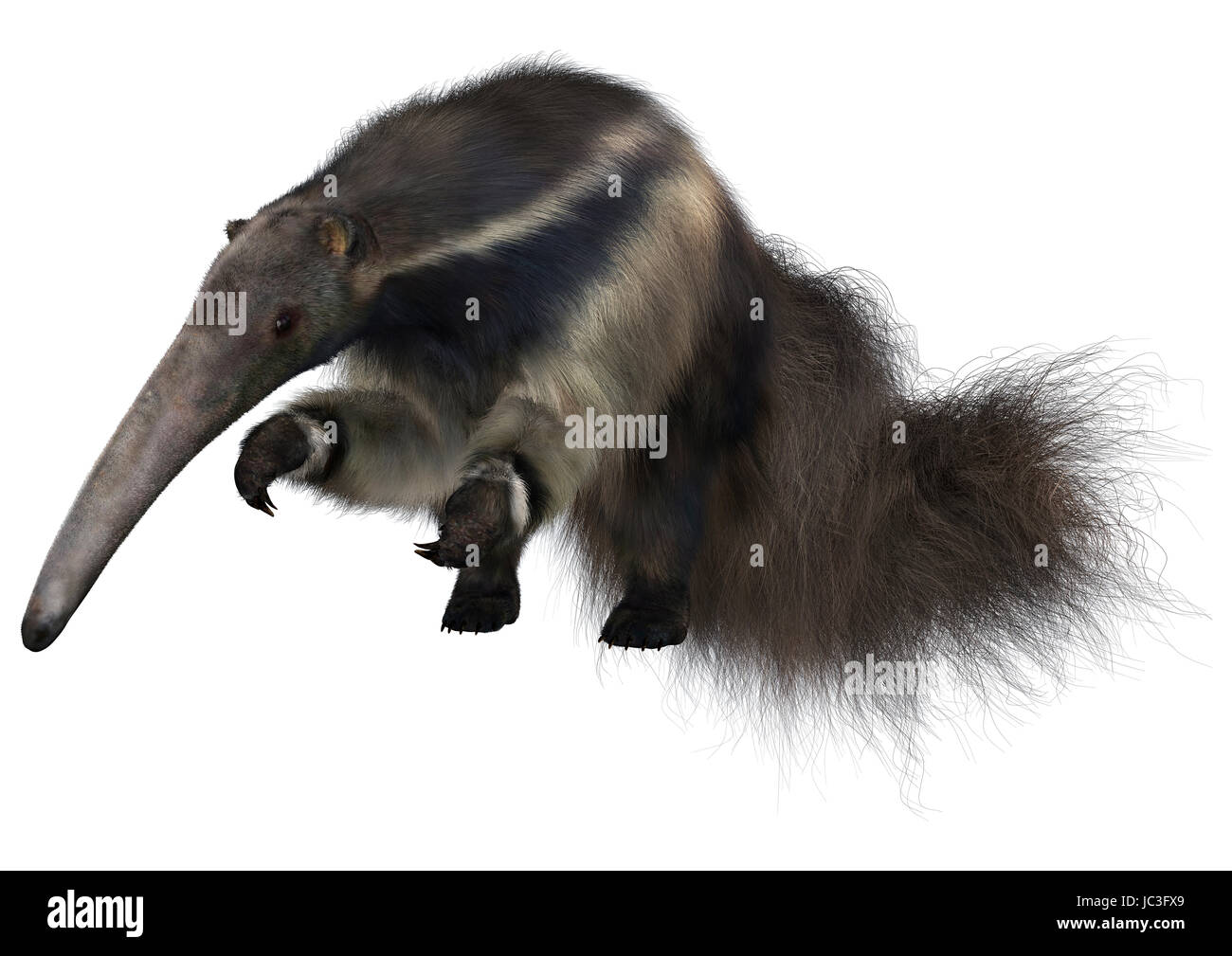3D digital render of an amazing animal anteater isolated on white background Stock Photo