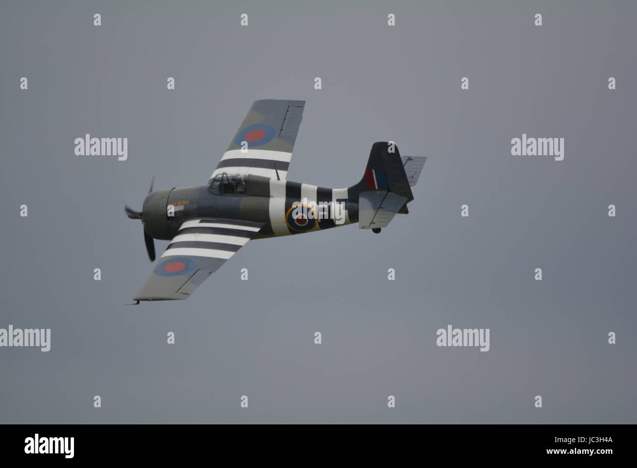 Grumman wildcat, Martlett world war 2 fighter Stock Photo