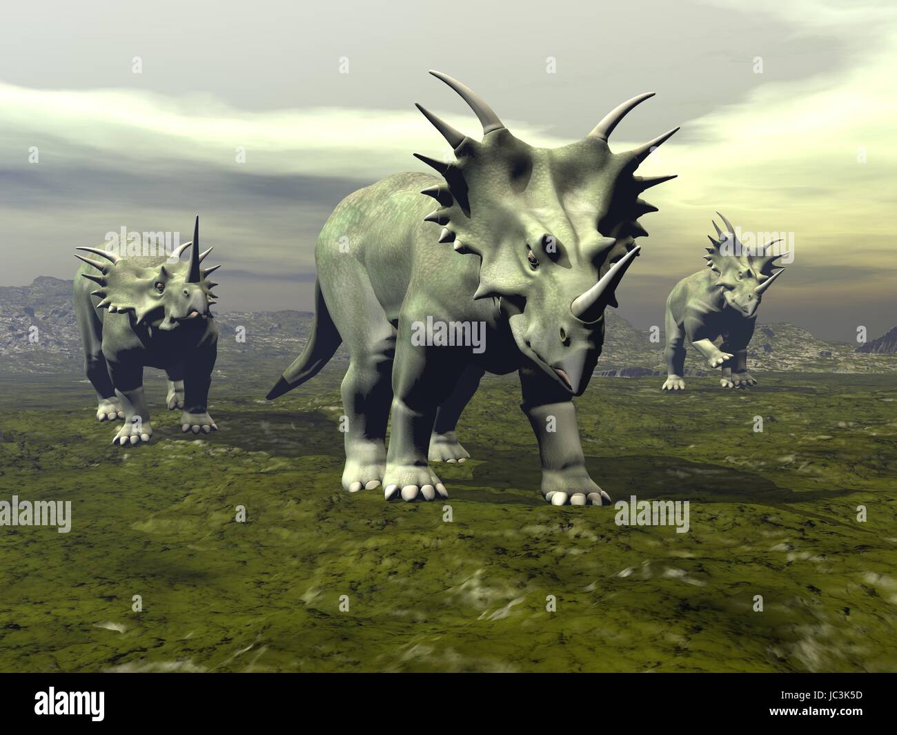 Three styracosaurus dinosaurs walking by coudy day - 3D render Stock Photo