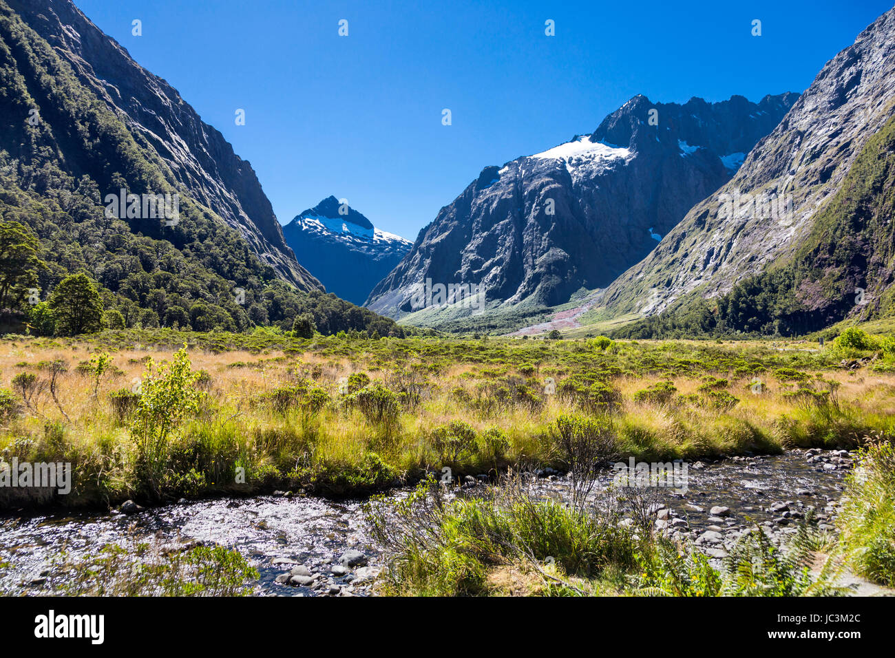 Scenic view of Monkey Creek, Hollyford Valley, Milford Sound, New Zealand Stock Photo