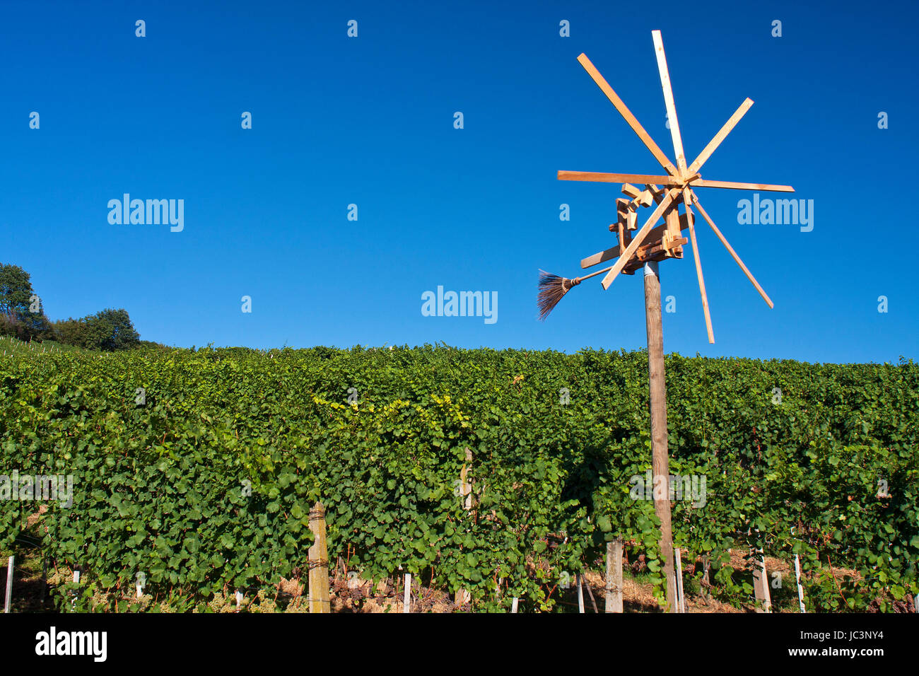 Weinberg und Klapotetz Stock Photo