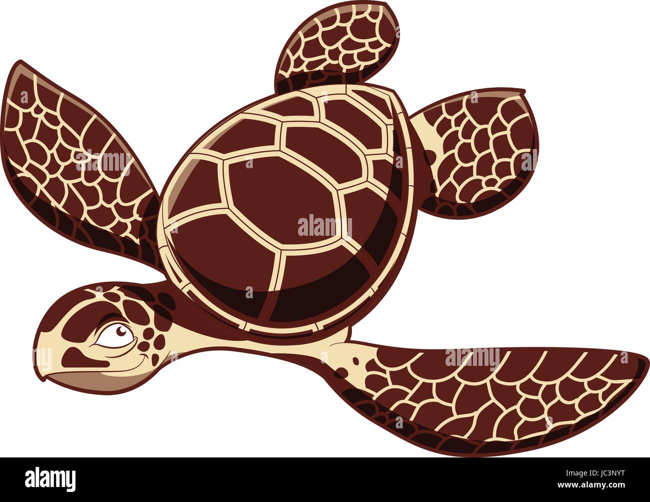 Turtle cute Stock Vector Images - Alamy
