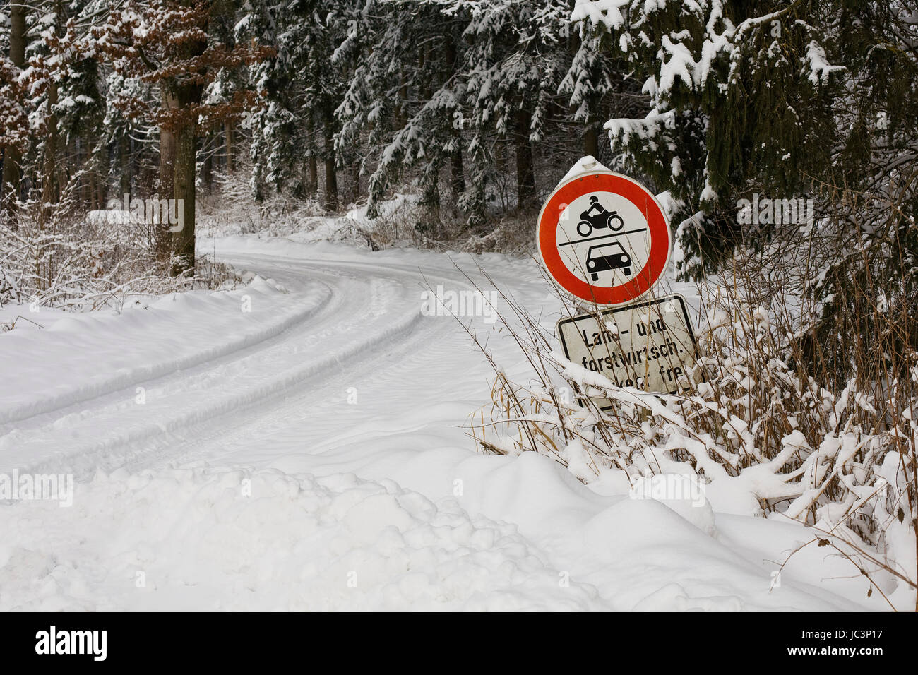 Winter Landscape Background in the Forest and Snow Stock Photo - Alamy