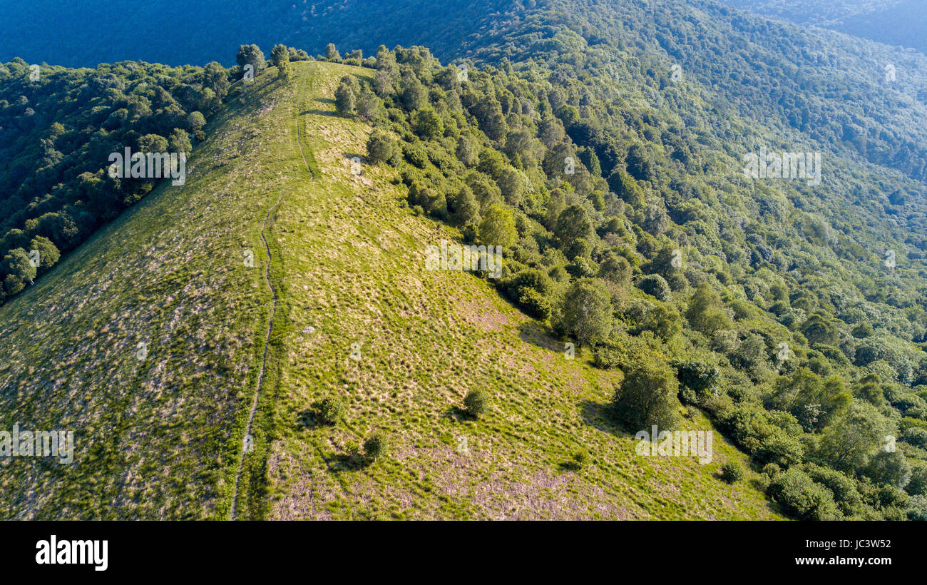 Aerial view of a path leading to Monte Boletto, Alps, near Lake Como. Como, Brunate, Lombardy, Italy Stock Photo