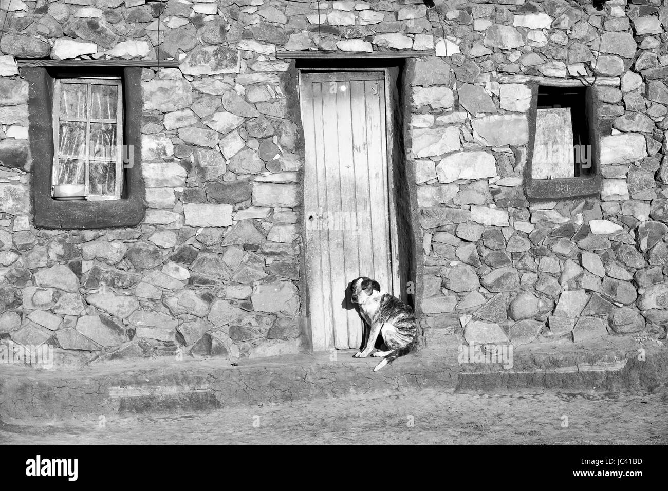 Dog waiting door Black and White Stock Photos & Images Alamy