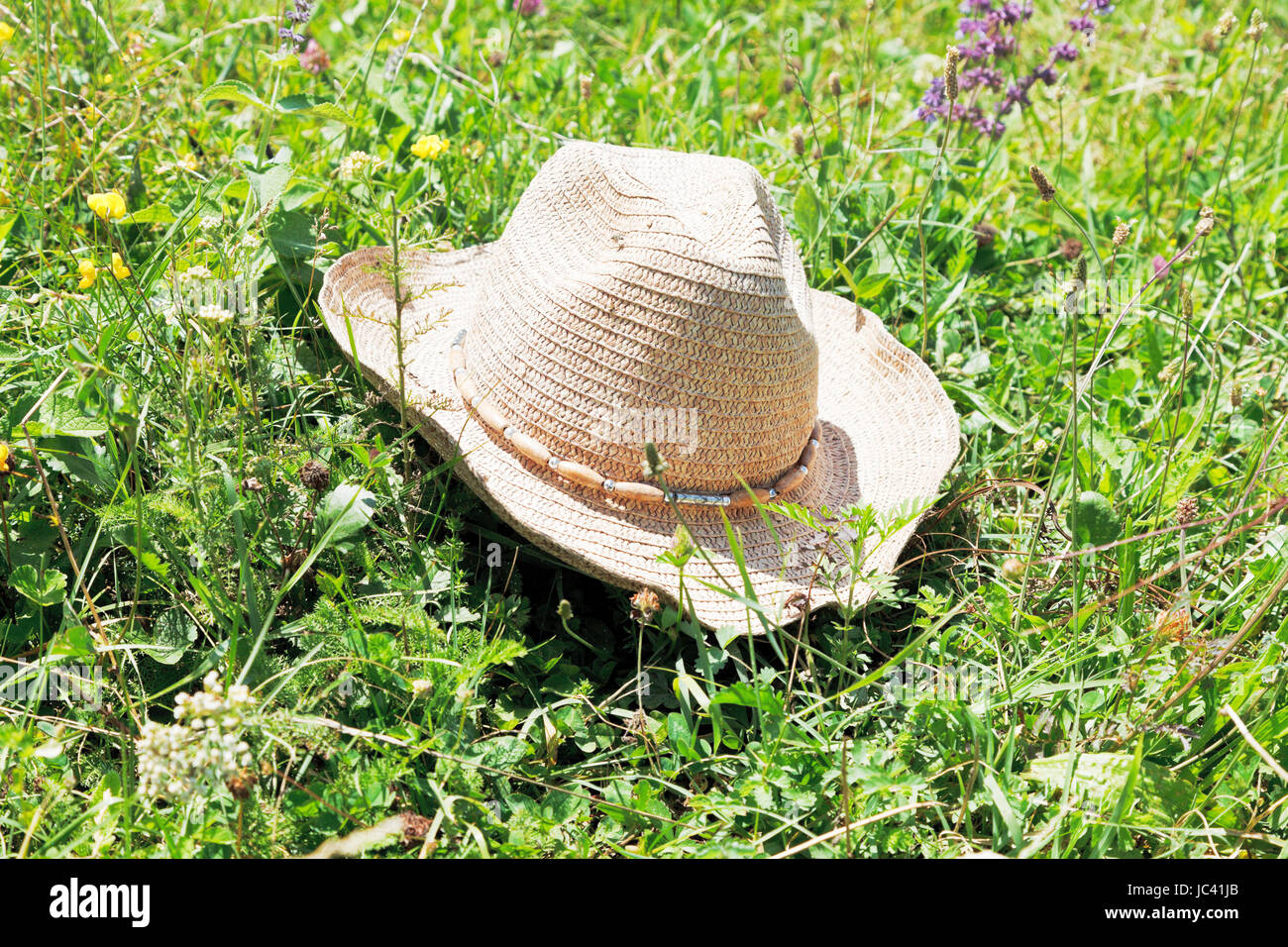 straw cowboy hat lying on green meadow Stock Photo - Alamy