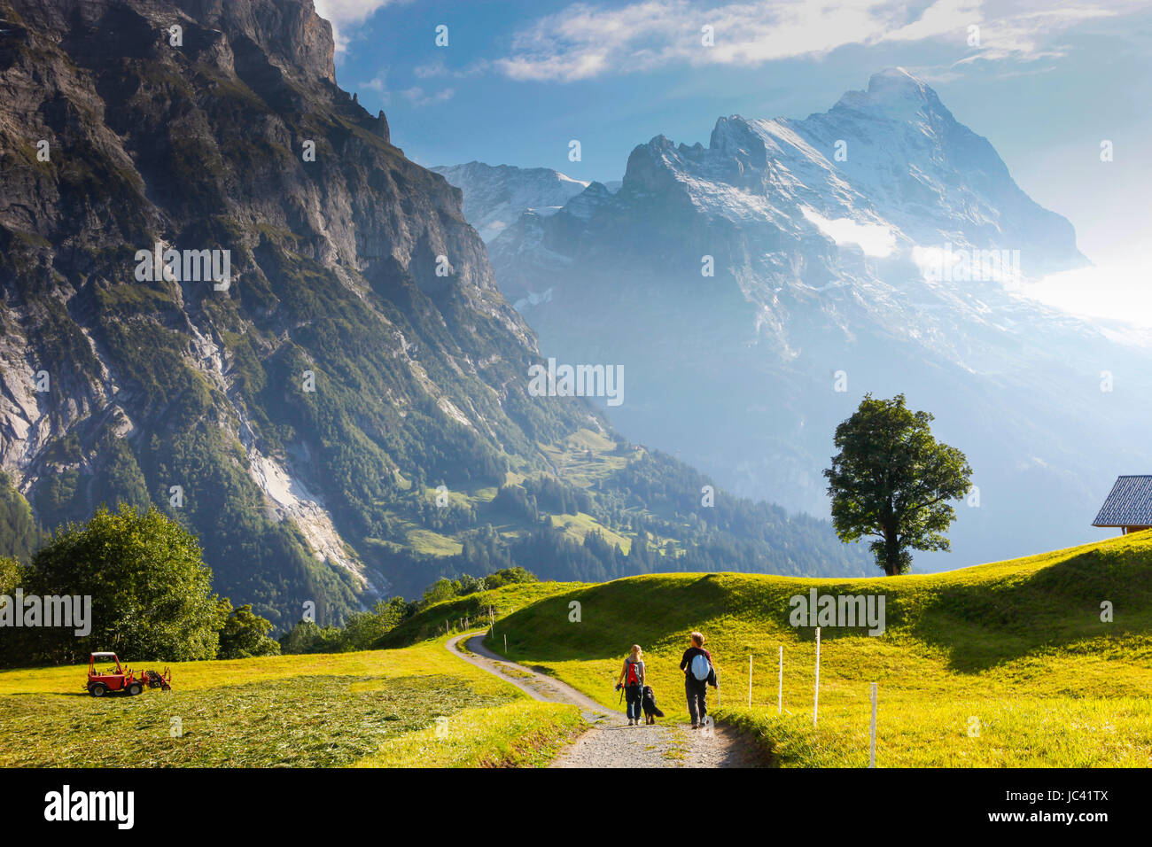 Two hikers and a dog are walking through a farmers pasture down into the valley of Grindelwald in the Swiss Alps. The famous Eiger mountain is in the background. This region of the Bernese Oberland is very popular by outdoor lovers like hikers, climbers and paragliders. The hike shown leads from Grosse Scheidegg pass to the village of Grindelwald. Stock Photo